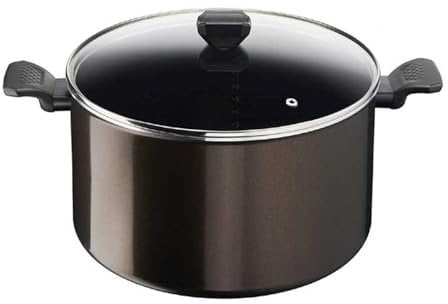 Tefal Kochtopf 30 cm (12,2 l) + Glasdeckel, für alle Herdarten außer Induktion, Antihaftbeschichtung, Easy Cook & Clean B5546902