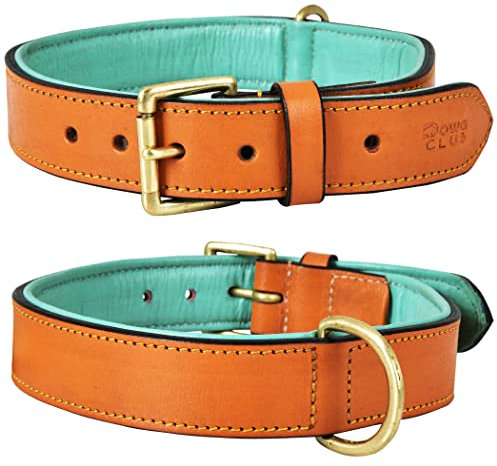 DowgClub Hundehalsband, echtes Leder, vollnarbig, strapazierfähig, bequem, stark, ideal für Welpen, kleine, Hellbraun (Größe L (passend für Halsumfang 47 - 57 cm), Hellbraun)