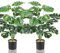 Lighterday Lot de 2 arbres artificiels décoratifs d'intérieur - Grandes plantes en plastique pour bureau, maison, décoration intérieure et extérieure (2 pots de Monstera)