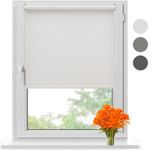 Radeco® Verdunklungsrollo ohne Bohren klemmfix 110 x 150 cm (BxH) hellgrau, Fenster rollos für innen, Rollo ohne Bohren, klemmrollo, fensterrollo, verdunkelungsrollo, rollos für Fenster ohne Bohren
