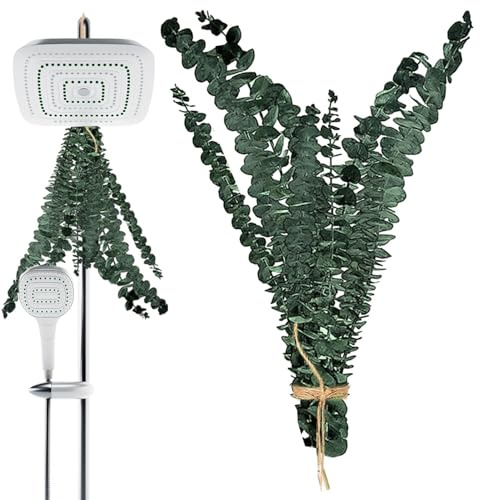 Yuemeuy Dusch Eukalyptus Zum Aufhängen - 10 Stück Natürliche Eukalyptuspflanze Zum Duschen, Getrocknete Eukalyptus Zweige, Hängende Natürliche Lebende Und Aromatische Für Dusche