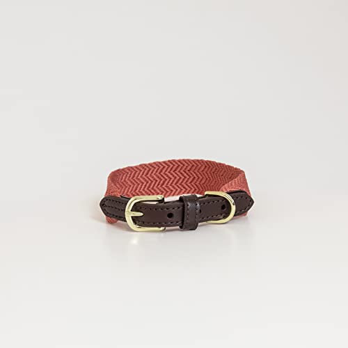 Kentucky Dogwear - Jacquard Hundehalsband - Terrakotta - Größe XS - 37cm