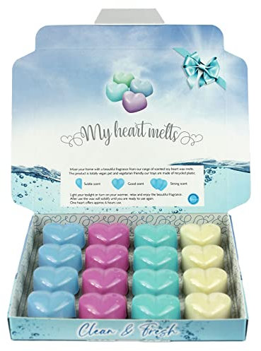 Clean & Fresh Duftwachswürfel - Duftwachs für Duftlampe Teelicht & Elektrisch, Wax Melts aus Sojawachs, Vegan & Tierfreundlich, Raumduft Duft Wachs Aromatherapie