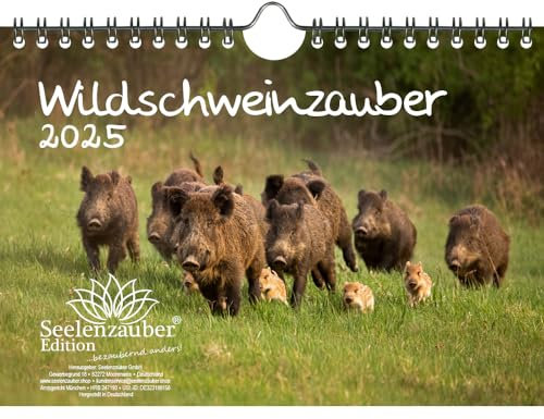 Wildschweinzauber DIN A5 Kalender für 2025 Schweine Schweinchen - Seelenzauber
