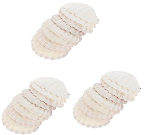 BESPORTBLE 30 Pièces Coquille Naturelle Assiettes à Salade décor Decoration Mural Wall Decoration Ornement Grand Plat de Coquillages Artisanat Aquarium Coquille d'huître Le Dessert Plateau