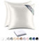 RENESSY Kissenhüllen aus 100% Bio-Seide 50x50 cm (2-Pack) - 22 Momme Maulbeerseide, Güteklasse 6A, Oeko-Tex zert. in Deutschland - Luxus für Haar und Haut (Naturseide Off-White)