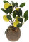 Arbre Artificiel Citronnier Pot Décoration Réaliste pour Maison Bureau Événements Faux Bonsai Fruits Simulés pour Salon Cuisine Mariage