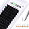 GEMERRY Wimpern Volumentechnik Easy Fan Lashes 3D 5D 8D 10D - Wimpern 0,05 C curl 10mm - Selbstfächernd Volumen Wimpern für Wimpernverlängerung Lash Extensions (0.05-c curl-10mm)