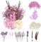 LAUMOE Getrocknete Blumen, Trockenblumen, Trockenblumen Zum Basteln Trockenblumen Set Mini Trockenblumen für Startseite Kunst Basteln Dekoration (Lila)