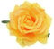 sourcing map 1 Pcs Rose Flower Hair Clips 4 Inch Flower Hair Pins Flower Brooch for Women Hair Accessories Yellow
