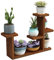 QLINDGK Sukkulenten-Ständer, 4 Etagen, Mini-Pflanzenregale, Tischplatte, Pflanzenregal, Halter, für den Innenbereich, kleine Fensterbank, Blumenregal, Ausstellungsregal