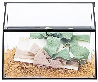 NCYP Schwarze Glas-Kartenbox mit Deckel, 26x15x21cm, für Hochzeit, Geburtstag, Party-Empfang, handgefertigter Kartenhalter Hausform, Heimdekoration, Sukkulenten Terrarium Übertopf (Nur Glasbox)