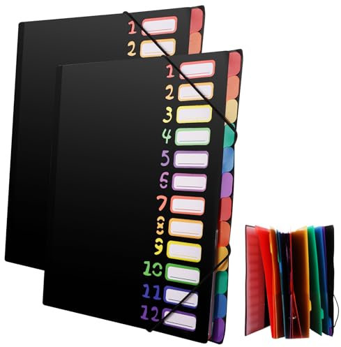 ASelected 2 Stück Dokumentenmappe A4 Ordnungsmappe Wasserdicht Fächermappe A4 12 Fächer mit Indexfenster für Büro Schule Zuhause