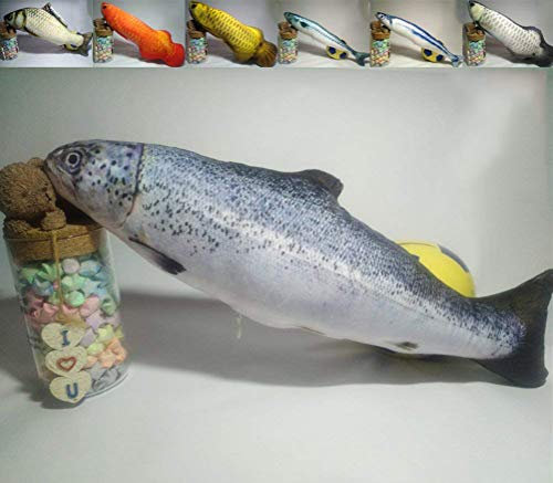 Maibar Cataire Chats Jouet Jeux pour Chat Herbe Poisson Jouet Fournitures de Chat (40cm, Truite)
