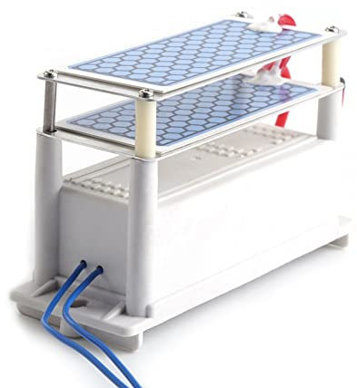 TOPINCN Generador De Ozono Poratable Integra Esterilizador De Purificador De Aire De Hogar De Placa De Cerámica Para Salas De Humo 10 G/H De Ca 110 V