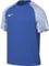 NIKE DH8031-463 M NK DF ACADEMY JSY SS T-shirt Men's ROYAL BLUE/WHITE/WHITE Size M