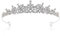 Krone Braut Tiara, Hochzeit Krone Sliver Tiara, Kristalle Prinzessin Krone,Braut Hochzeit Kopfschmuck, Vintage Hochzeit Kopfbedeckungen Bräute Stirnbänder Hochzeit Haarschmuck
