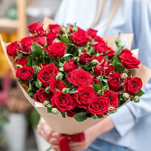 rosen samen winterhart - 150 pcs rot rosen pflanzen kletterrosen winterhart duftend, bienenfreundliche blumensamen schnittblumen, rose bonsai samen zimmerpflanzen, exotische pflanzen