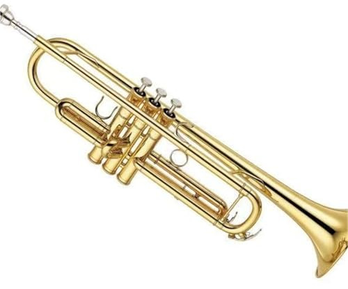 Trompete in B, für Anfänger (goldfarbenes lackiertes Messing)