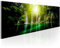 decomonkey Bilder Wald Wasserfall 120x40 cm 1 Teilig Leinwandbilder Bild auf Leinwand Vlies Wandbild Kunstdruck Wanddeko Wand Wohnzimmer Wanddekoration Deko Natur Landschaft Dschungel