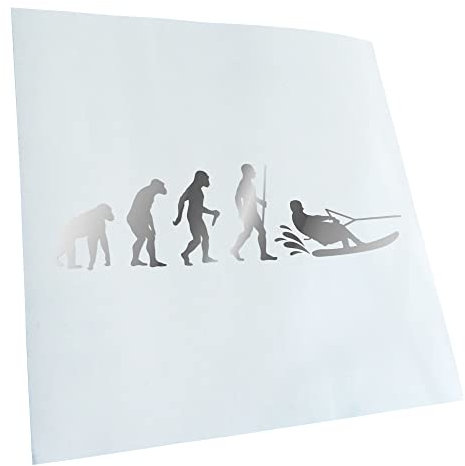 Kiwistar - Autoaufkleber - Wakeboarden Ski Evolution - chrom - 30x8cm - Heckscheibe Auto Aufkleber wetterfest für Kfz LKW Mofa Truck - Sticker außen selbstklebend Tuning Zubehör für Fenster Fahrzeug