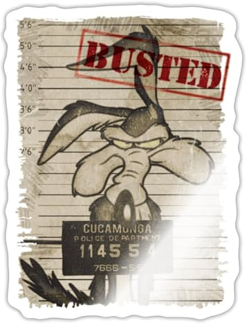 Looney Tunes Wile E. Coyote Busted Sticker Aufkleber