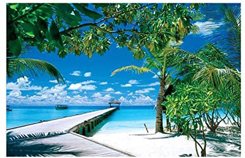 FeiliandaJJ Erwachsene Puzzle 1000 Teile - Strand Muster - Landschaft Puzzle Jigzaw Puzzle Intellektuelles Spielzeug Puzzlespiel Geschenk (A)