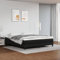 BAZZI Boxspringbett 160 x 200 cm - Polsterbett Mit Lattenrost, Komplettes Bettset, Kunstleder Schwarz-13 - Jugendbett Perfekt für Jugendzimmer, Futonbett