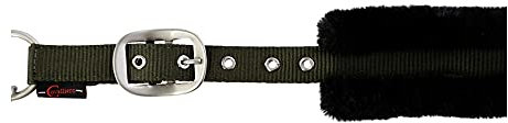 Kerbl 3297740 Cordano Halfter, Oliv, Größe Pony, 50 Stück