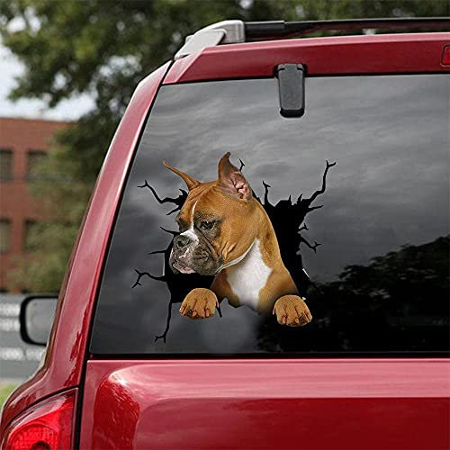 Ocean Gift Boxer Auto Aufkleber, Hund Auto Aufkleber 2 Stück - Realistische Boxer Aufkleber für Autofenster, Wände Serie 104 Größe 30,5 cm x 30,5 cm
