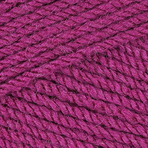 5 x 100g Stylecraft Special DK Double Knit Wool/Yarn Pack of Five (5 x 100g Boysenberry 1828)