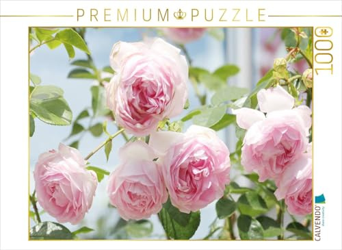 CALVENDO Puzzle Rose 'Jasmina' 1000 Teile Puzzle quer | Lege-Größe cm Foto-Puzzle für glückliche Stunden