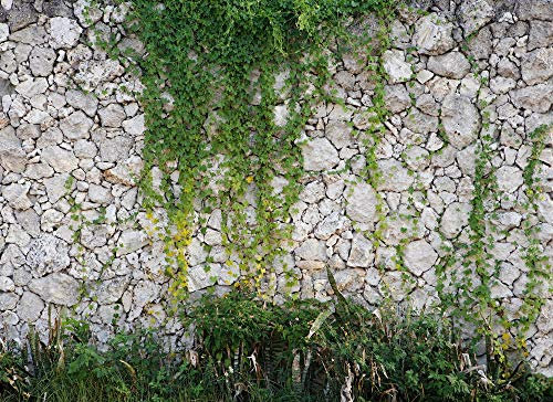 Livingwalls Fototapete Designwalls Vliestapete Stone wall Tapete in Steinoptik in Grau, Grün 350 x 255 cm XXL Wandtapete Wandbild 118793