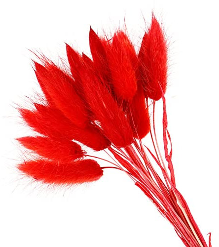 YIWOYI Getrocknetes Kaninchenschwanz, Gras, natürliche getrocknete Blumen, Plüschblumen, bunte Blumen, künstliches Kaninchenschwanz, Gras, Fuchsschwanz, lange Bündel, Pflanzendekoration (rot)