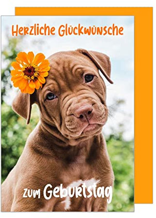 Edition Seidel Premium Geburtstagskarte mit Umschlag. Glückwunschkarte Grusskarte Billet Geburtstag Happy Birthday Mann Frau Kind Herzliche Glückwünsche Hund Blume Karte (G3126 SW023)