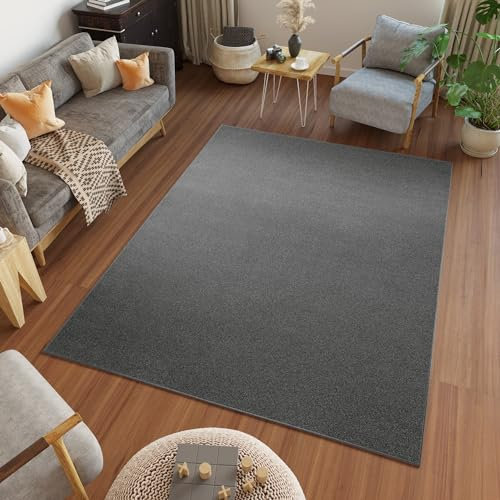 TAPISO Mono Teppich Kurzflor Indoor UV-beständig Dunkelgrau Einfarbig Wohnzimmer Schlafzimmer Kinderzimmer Modern Design ÖKO-TEX 240 x 330 cm