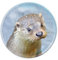 Deluxebase Magnidome Otter Fridge Magnet – Crystal Glass Dome Animal Magnets for Fridges, Decorative Strong Magnet for Kitchen Accessories, Novelty Gifts and Cute Home Decor.