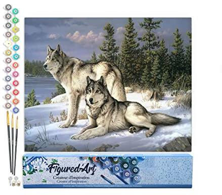 Figured'Art Peinture par Numéro Adulte Couple de loups - Activité Manuelle Kit de Loisir Créatif DIY Numéro d'Art Complet - 40x50cm sans châssis en bois