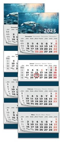 PRIMUS PRINT XXL Kalender 2025 - Mehrblock Wandkalender - 4-Monatskalender - Jahres Blockkalender - mit Datum Schieber - inklusive Feiertagen und Ferien - verschiedene Motive - [ 2x Schildkröte ]