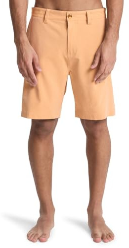 Quiksilver Herren Shorts Union Heather Amph 19
