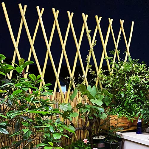 Erweiterbares Bambus-Spalier für Kletterpflanzen – natürliche Farbe, Pflanzenstützgitter, 120 x 200 cm, Gartenteiler und Wanddekoration, genietetes Design