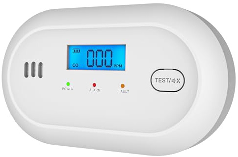 Détecteur de Monoxyde de Carbone Hapippofa - Détecteur CO Pile AA Remplaçable avec Affichage Numérique et Capteur d'une Durée de Vie de 10 Ans,1 Pcs
