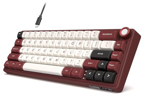 RK ROYAL KLUDGE Clavier mécanique filaire R65 avec bouton de volume, 60 % RVB rétroéclairé pour clavier de jeu avec touches PBT, profil MDA, QMK/VIA, interrupteur 66 touches remplaçable à chaud, rouge