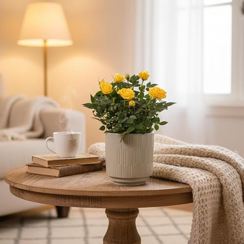 Yellow Rose Plant - Indoor Houseplant in Olive Ceramic Pot - Decorative Potted Plant Included - Luxe Leaf Plants
