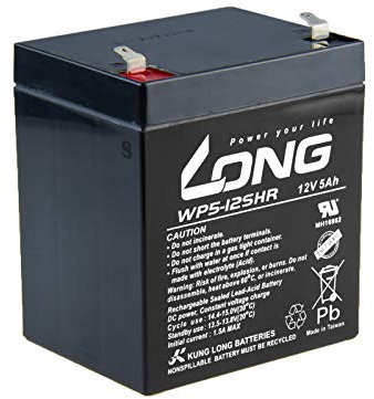 LONG PBLO-12V005-F1AH Batterie au Plomb-Acide 12 V 5 Ah (WP5-12SHR F1) 12 V