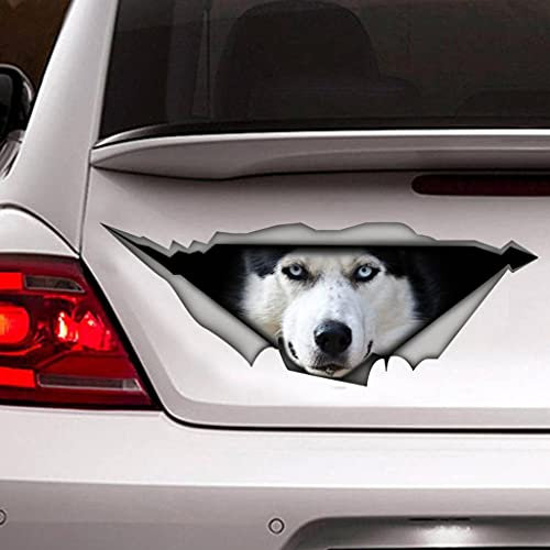 Fabisup 3D Husky Auto Dekoration Aufkleber für Fenster Stoßstange - Riss Vinyl Hund Wasserdicht Realistische Auto Aufkleber
