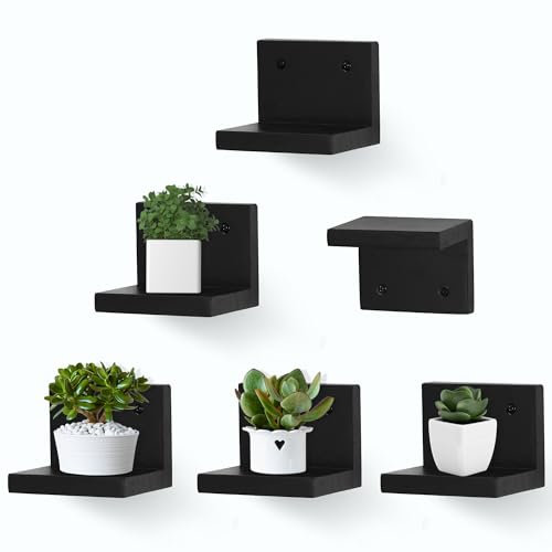 NIUBEST Small Floating Shelf for Wall Set of 6,Mini Shelves for Display Small Figurine,Plant,Collectibles, Wall Shelves for Bedroom Living Room Bathroom Kitchen Decor(Black)