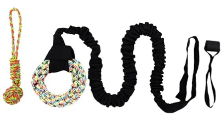 ＡＷＨＡＯ Bungee-Zerrspielzeug für den Außenbereich, an Bäumen hängt, für kleine bis große Hunde, interaktives Tether-Zerrspielzeug für den Außenbereich, Bunter Ring