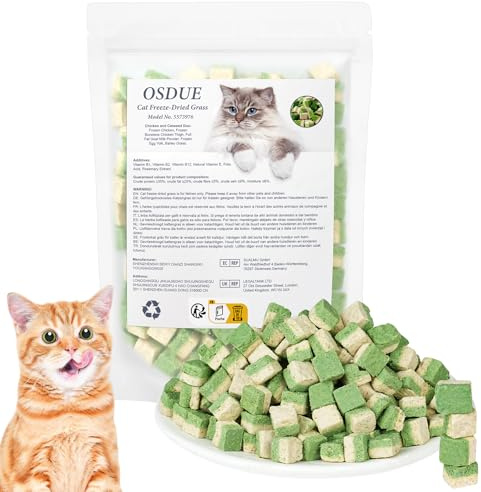 OSDUE Golosina de Hierba Gatera para Gatos, 100g Snack Liofilizado con Hierba Gatera para Limpiar los Dientes, Palillo Masticable para Gatos Favorecer Digestión y Absorción, Cat Grass Teething Stick A