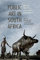 Public Art in South Africa: Bronze Warriors and Plastic Presidents (African Expressive Cultures) (English Edition)
